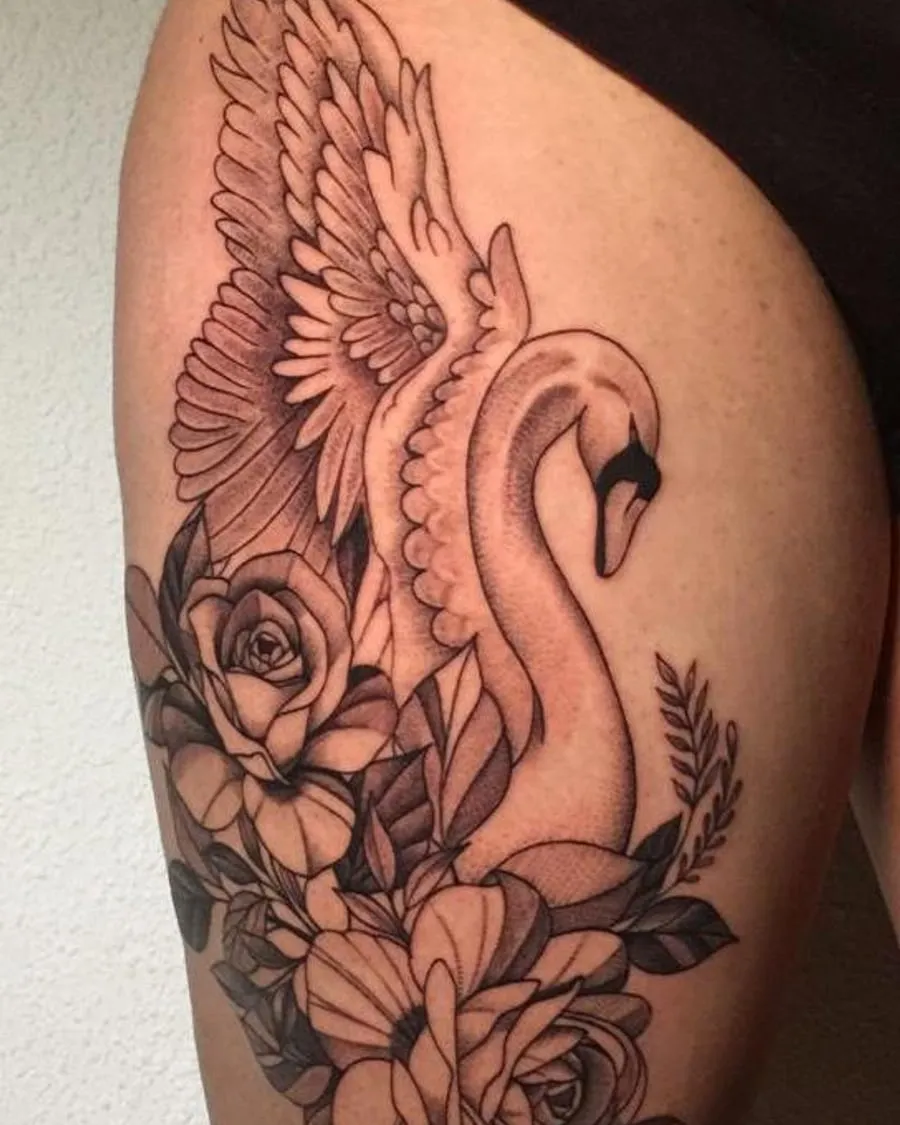 Cisne y rosas