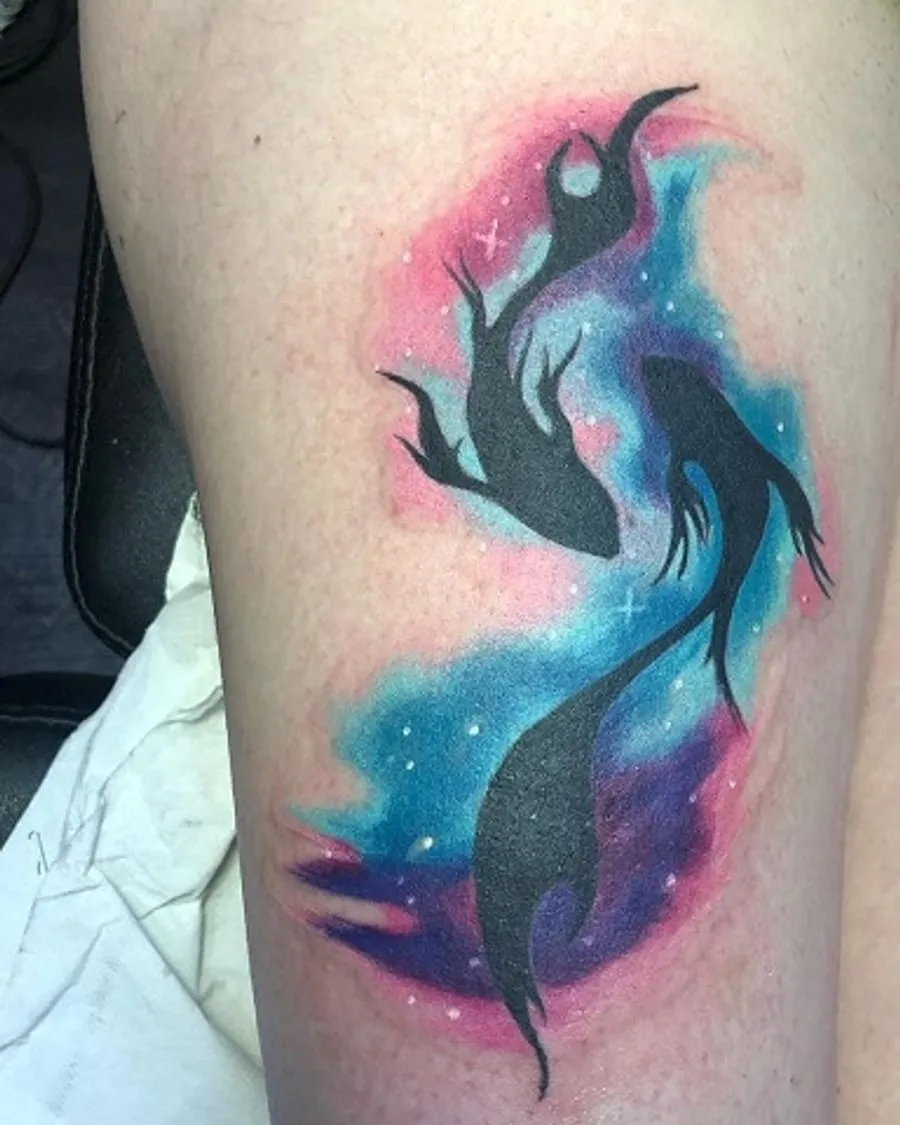 Koi galáctico