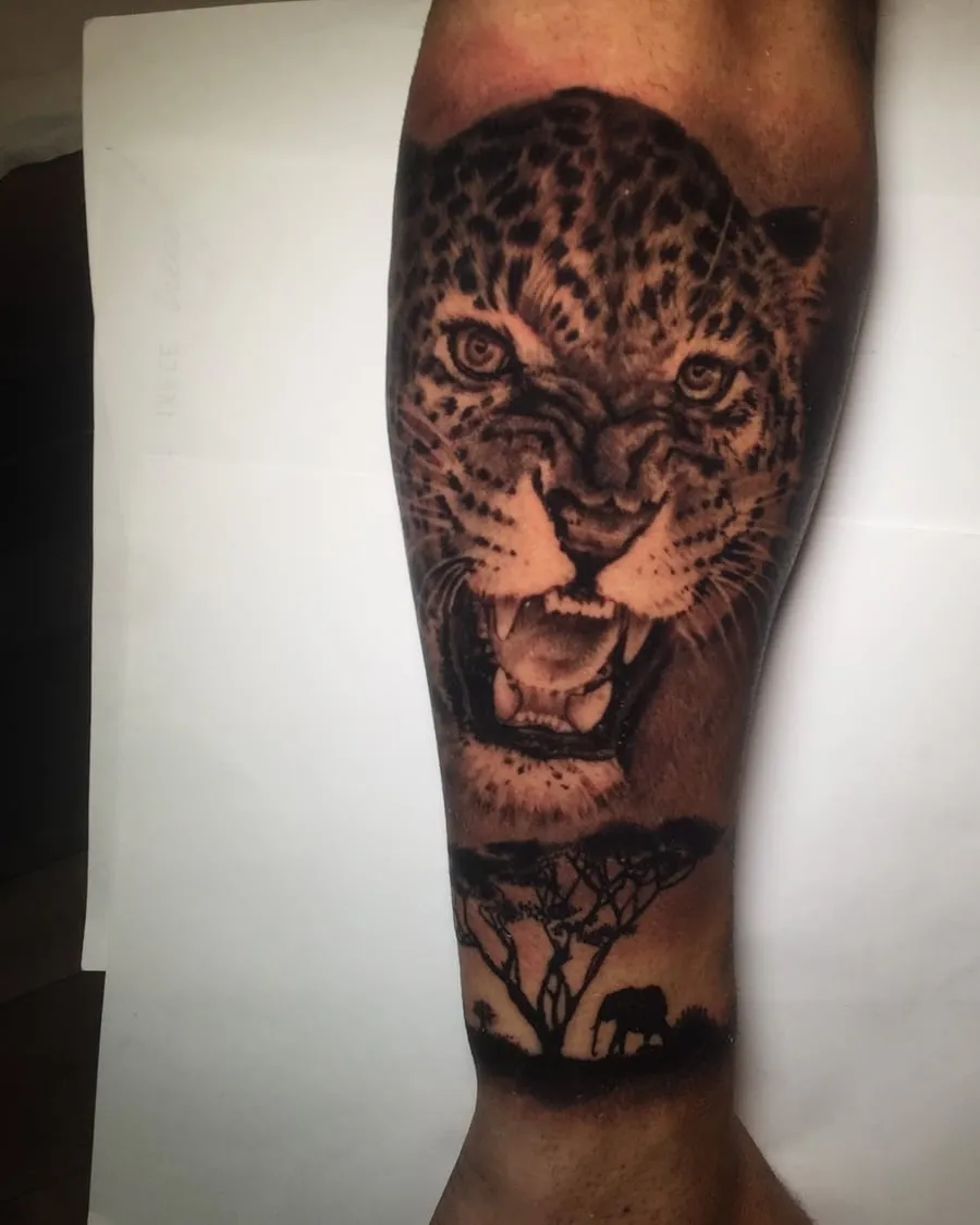 Leopardo