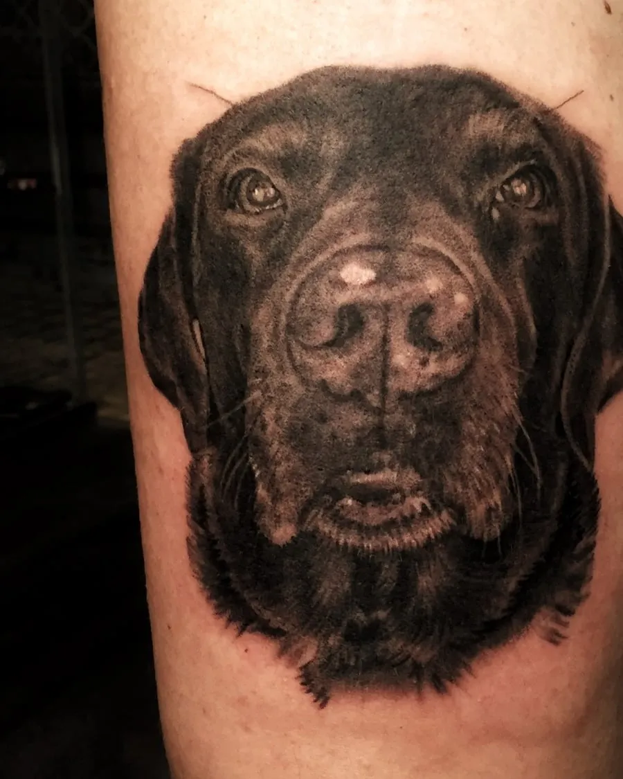 Retrato de perro