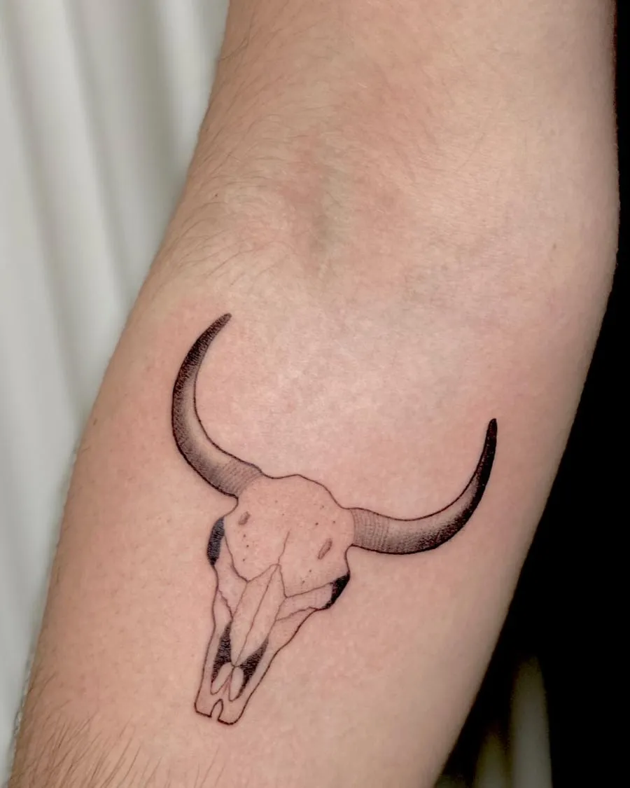 Calavera de toro