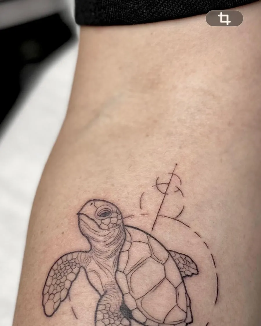 Tortuga