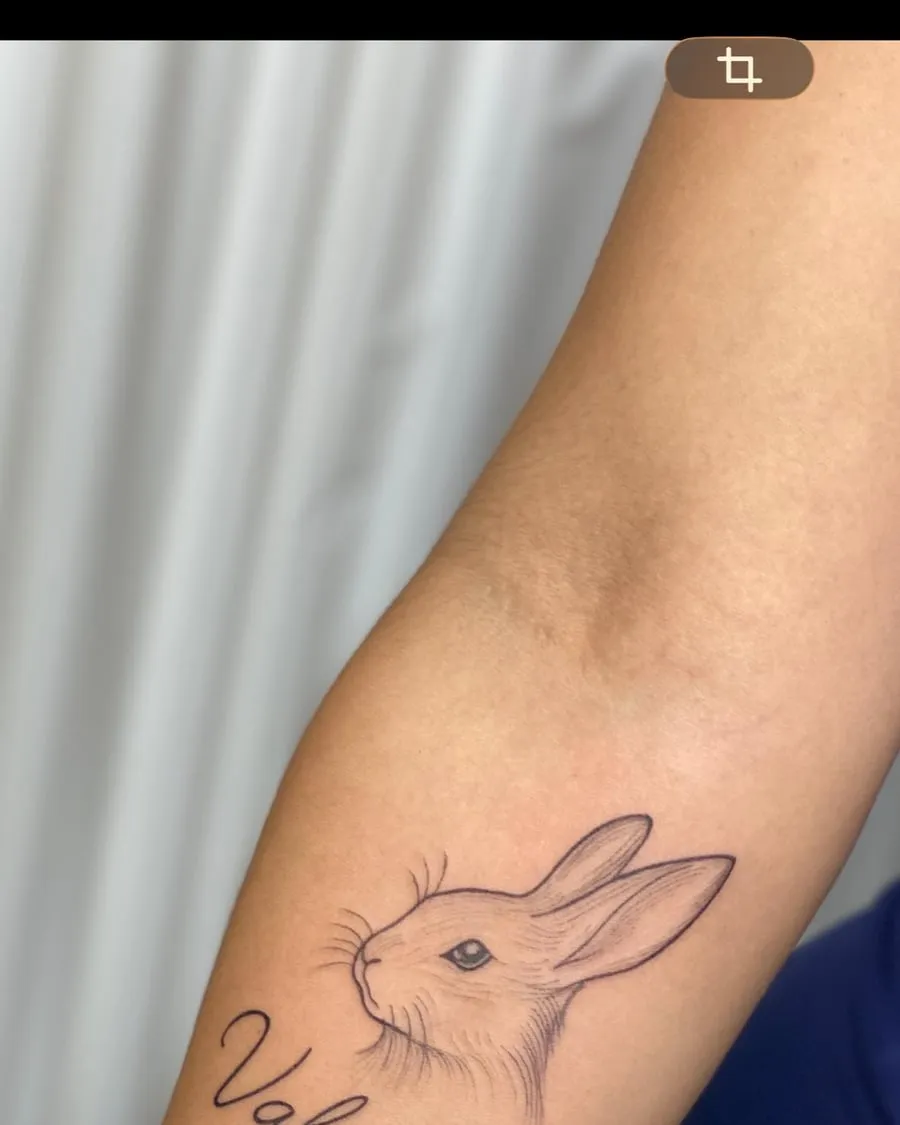 Conejo y «Valentina»