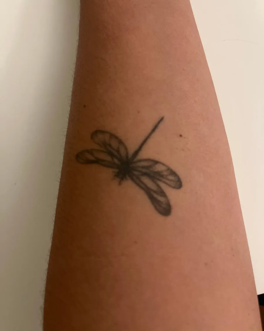 Libélula